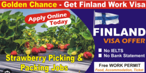 Food Packaging Jobs in Finland 2025 With Visa Sponsorship