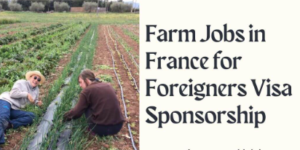 Visa Sponsorship Farm Jobs in France for Foreigners 2025