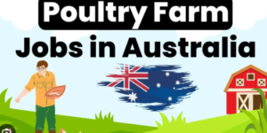 Visa Sponsorship Poultry Farm Jobs in Australia 2025