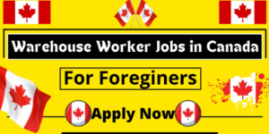 XL Warehouse Associate Jobs in Canada 2025 – Apply Now