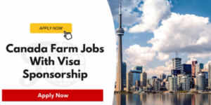 Visa Sponsorship P&H Farming Jobs in Canada 2025 – Apply Online