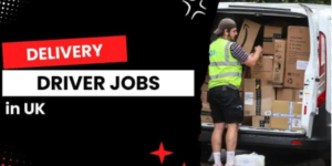 Licensed Minibus Driver Jobs in UK 2025 – No Experience Required