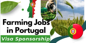 Visa Sponsorship Farm Jobs in Portugal 2026 – Apply Now