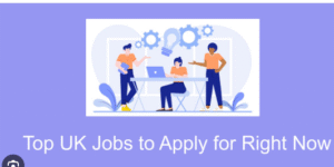 Business Support Officer Jobs in England 2025 – Apply Now