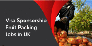 Picker and Packer Jobs in UK With Visa Sponsorship